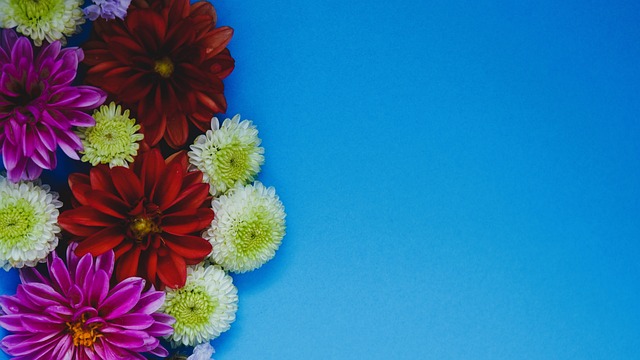 年的纪录 年的纪录