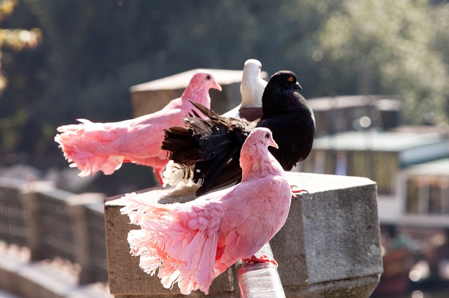 他不仅得到 他不仅得到