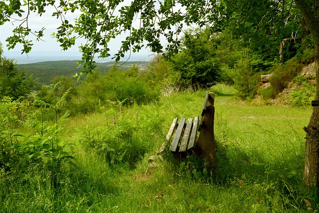 还需要完善 还需要完善