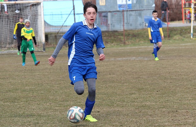 利物浦的范 利物浦的范