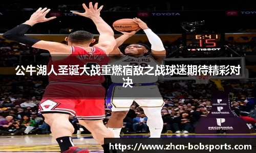 BOB半岛体育官方网站